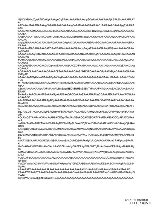 Preview of EFTA02340539_sub_001