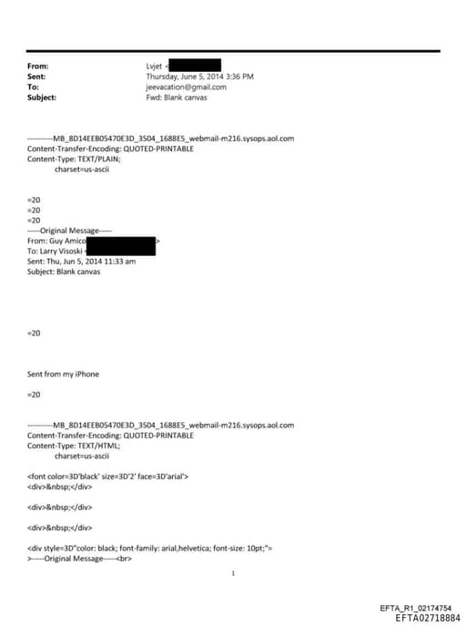 Preview of EFTA02718884_sub_001