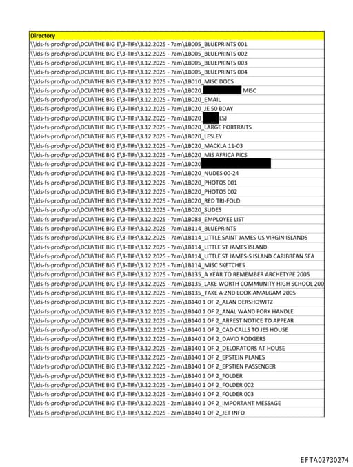 Preview of EFTA02730274_sub_001