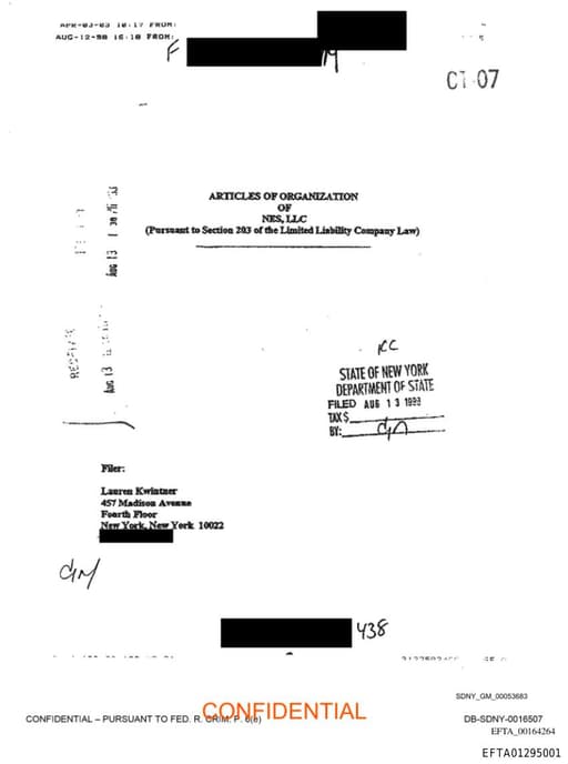 Preview of EFTA01295001