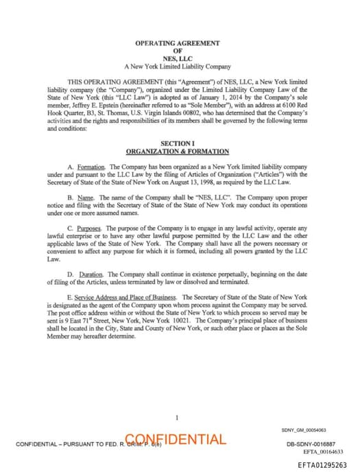 Preview of EFTA01295263