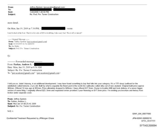 Preview of EFTA01300094