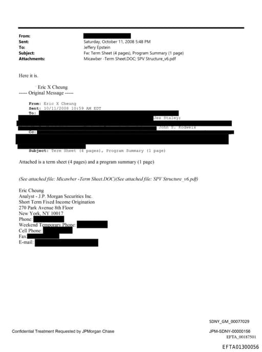 Preview of EFTA01300056