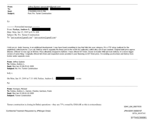 Preview of EFTA01300081