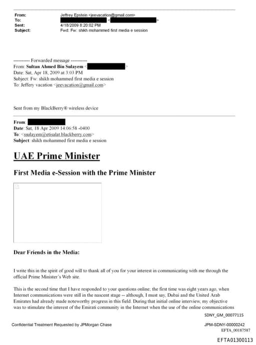 Preview of EFTA01300113