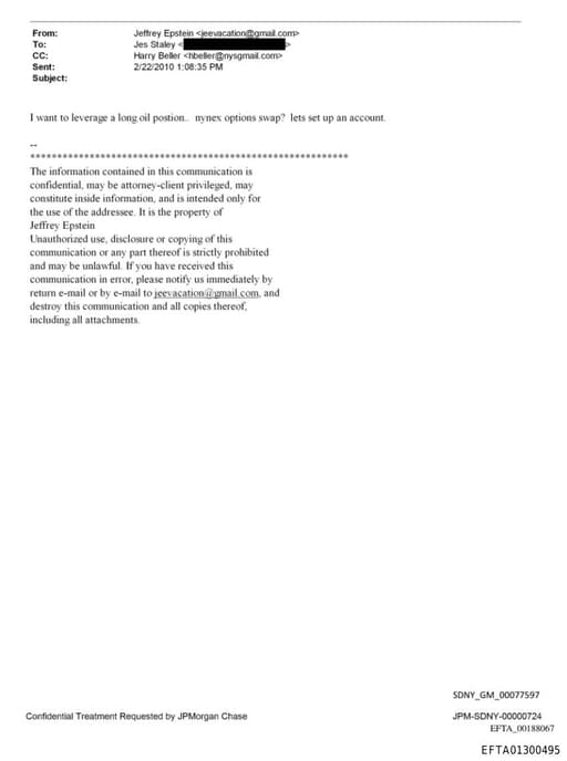 Preview of EFTA01300495