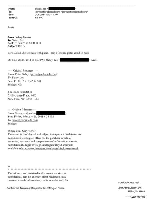 Preview of EFTA01300985