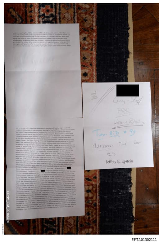 Preview of EFTA01302111