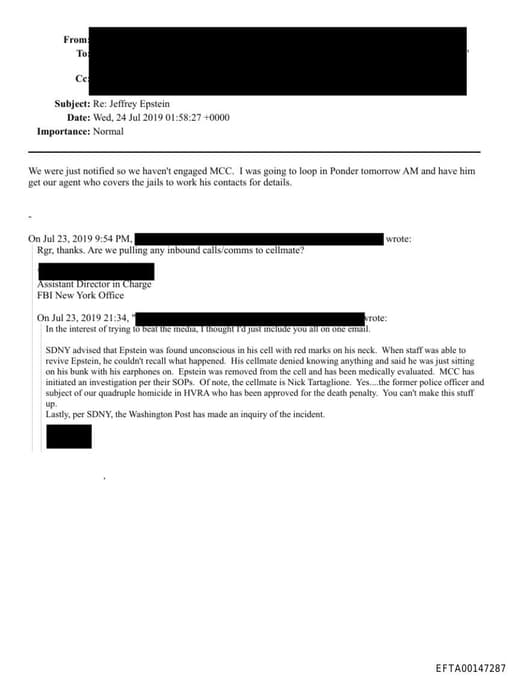 Preview of EFTA00147287