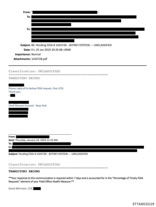 Preview of EFTA00152129