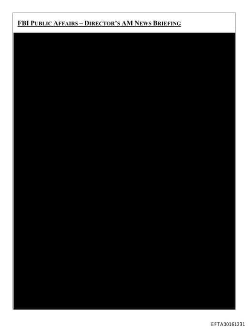 Preview of EFTA00161231