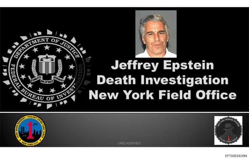 Preview of EFTA00161494