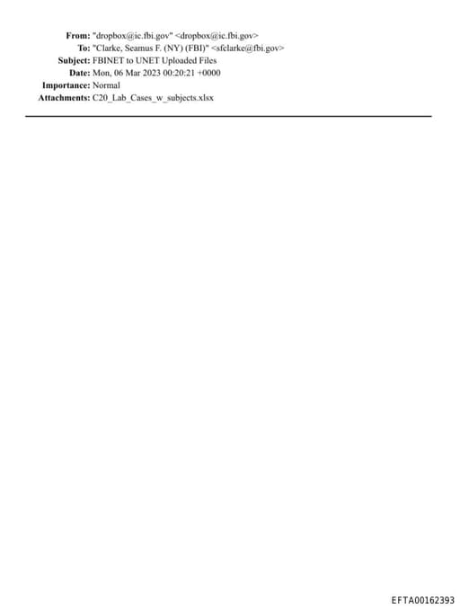 Preview of EFTA00162393