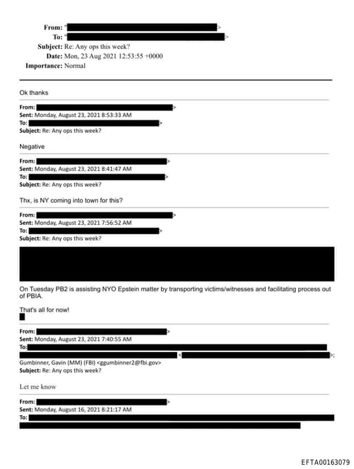 Preview of EFTA00163079