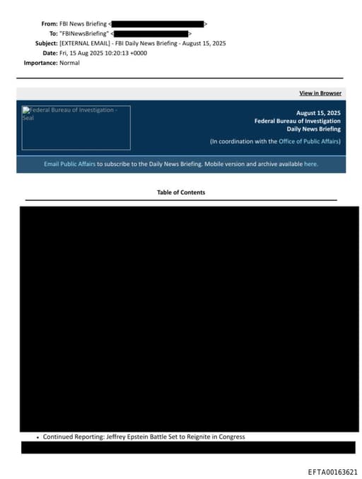 Preview of EFTA00163621