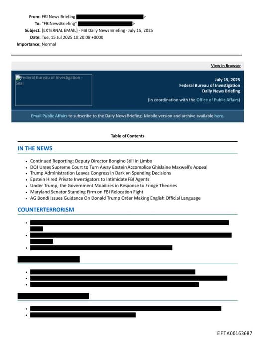 Preview of EFTA00163687