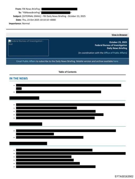 Preview of EFTA00163902