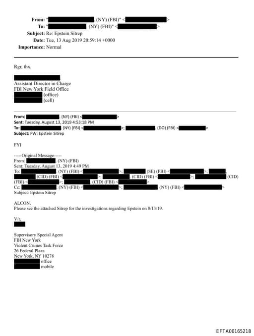 Preview of EFTA00165218