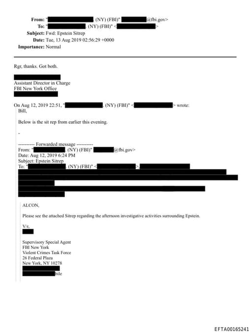 Preview of EFTA00165241