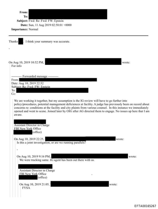 Preview of EFTA00165267