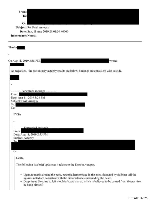 Preview of EFTA00165255