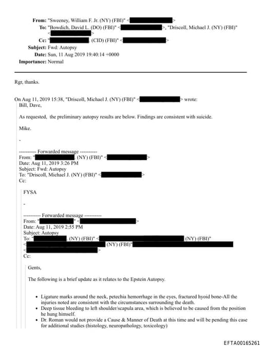 Preview of EFTA00165261