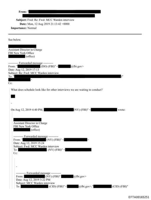 Preview of EFTA00165251