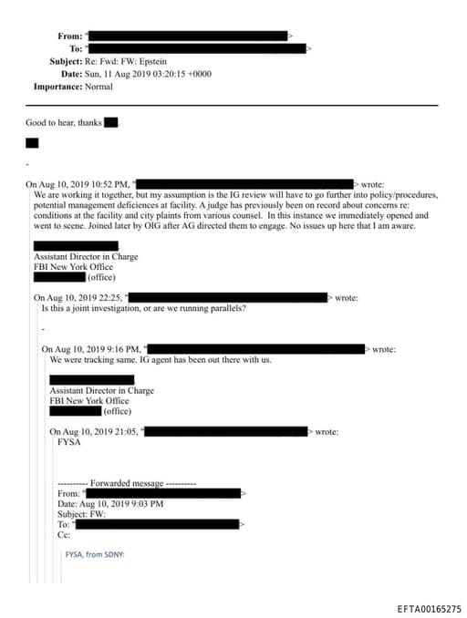 Preview of EFTA00165275