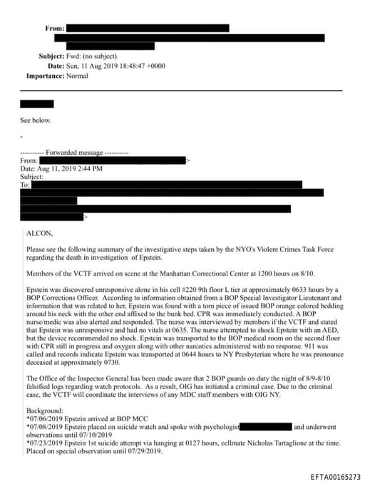 Preview of EFTA00165273