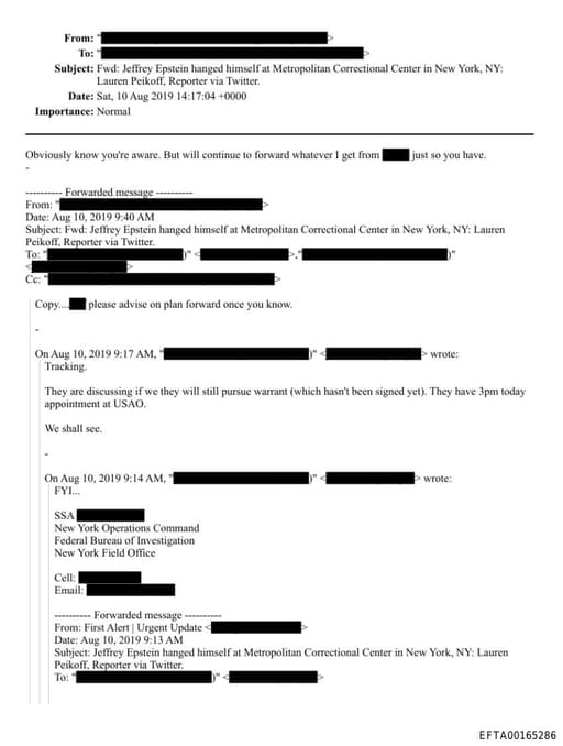 Preview of EFTA00165286