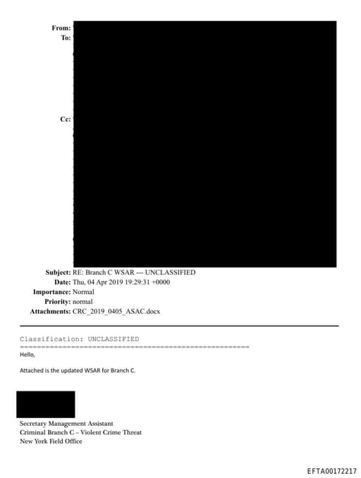 Preview of EFTA00172217