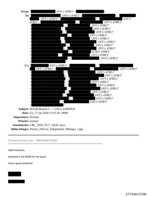 Preview of EFTA00172196