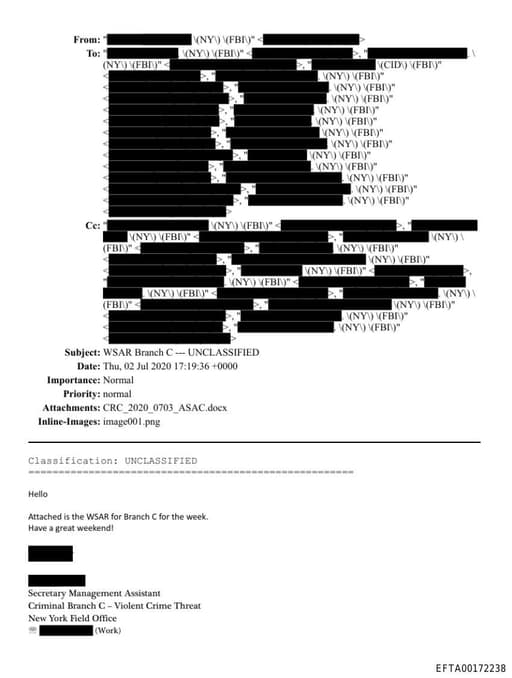 Preview of EFTA00172238