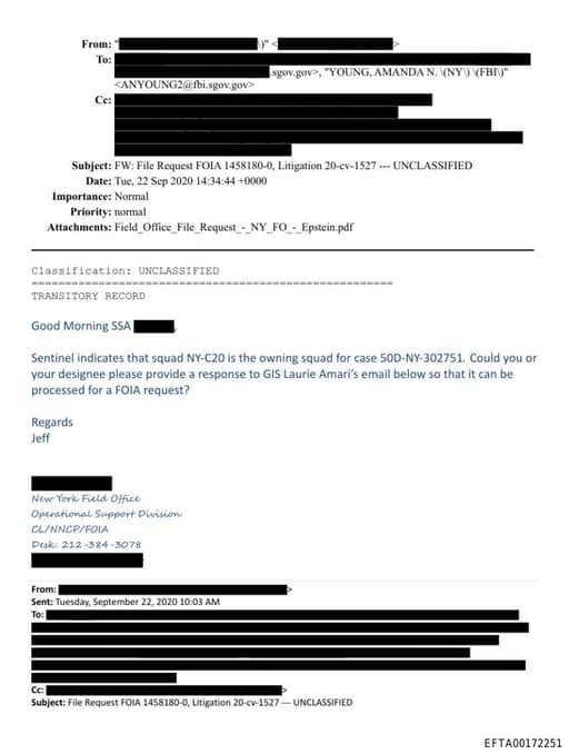 Preview of EFTA00172251