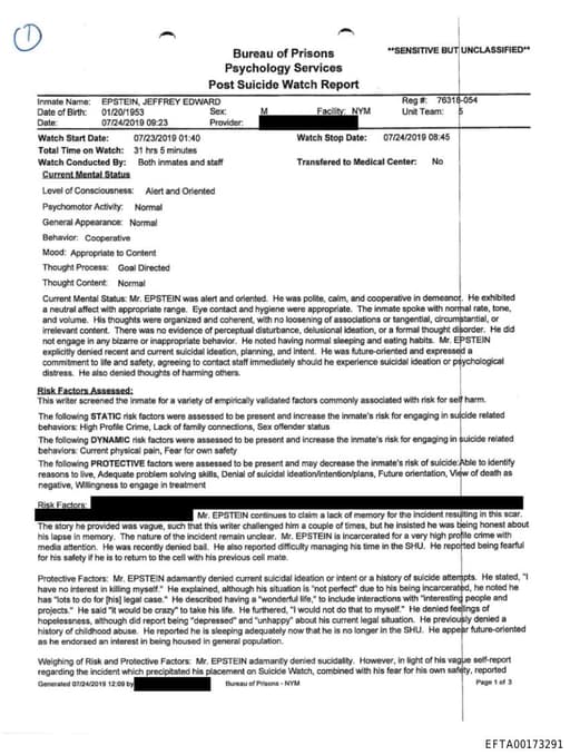 Preview of EFTA00173291