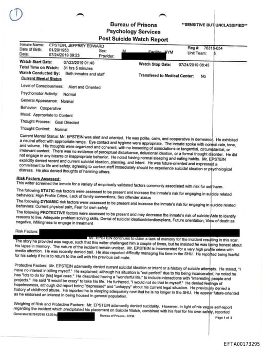 Preview of EFTA00173295