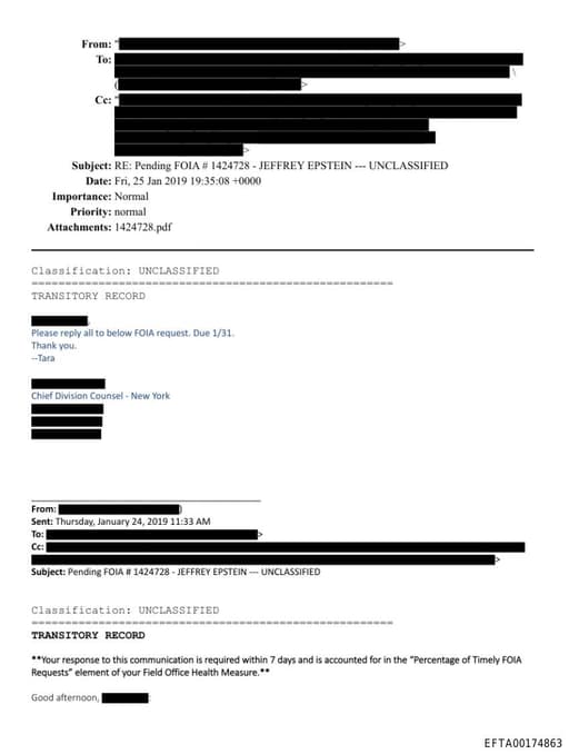 Preview of EFTA00174863