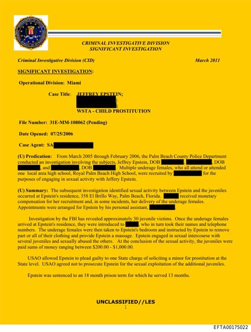 Preview of EFTA00175022