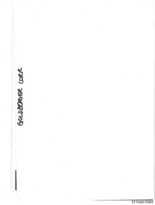 Preview of EFTA00175983