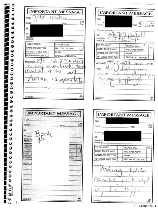 Preview of EFTA00187484