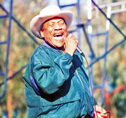 Bobby “Blue” Bland