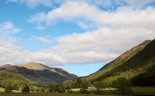 GLEN LYON