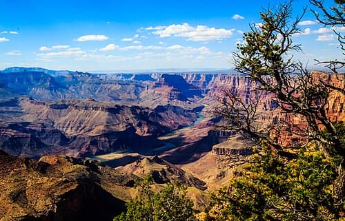 the Grand Canyon