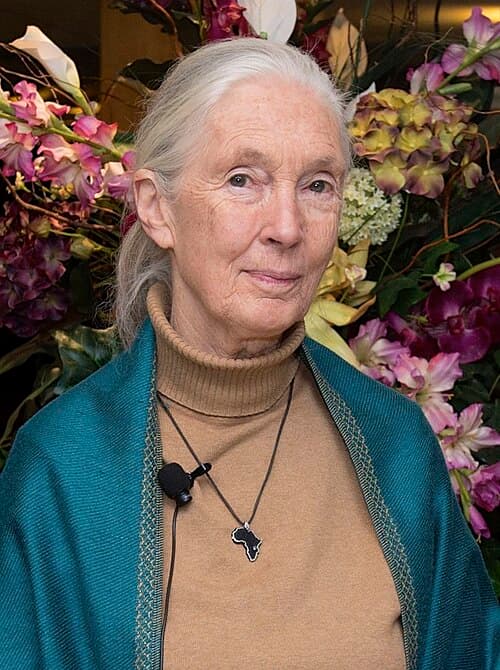 Jane Goodall’s