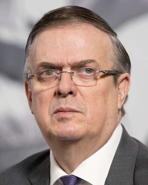 Marcelo Luis Ebrard
