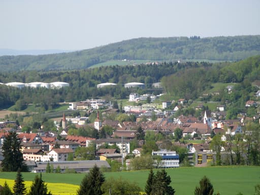 Mellingen