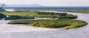 Nushagak Rivers