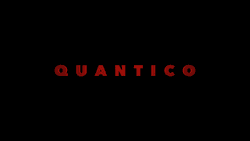 Quantico