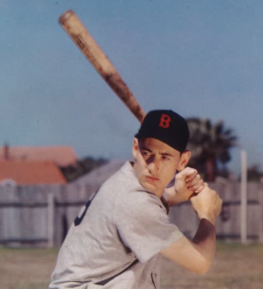 Ted Williams’s