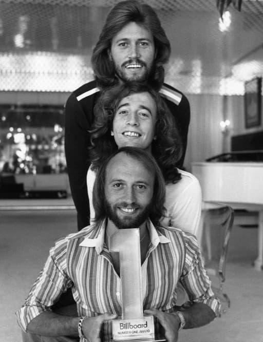 the Bee Gees